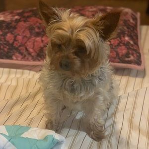 Meet your Posher, Ana